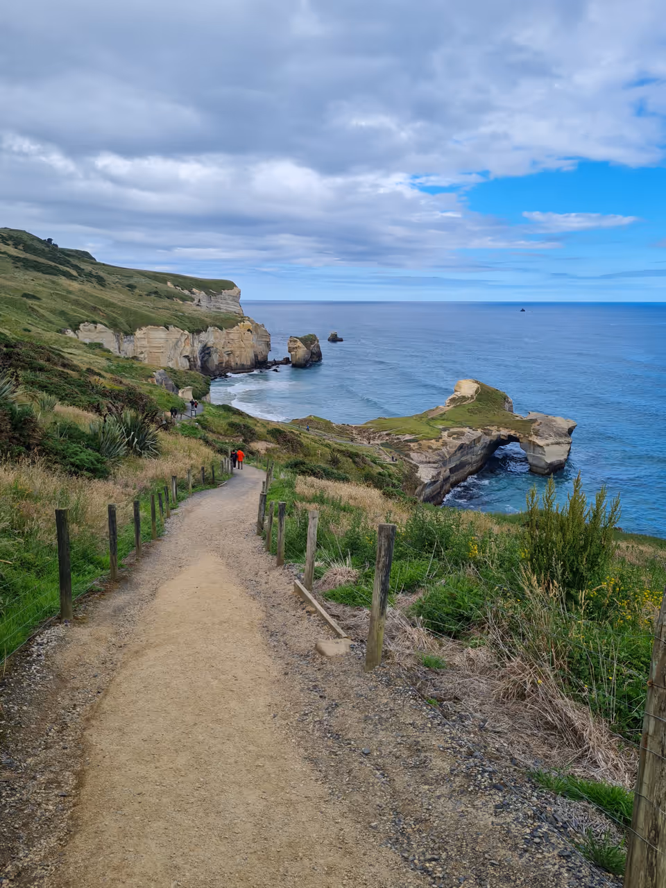 Tunnel beach in Dunedin