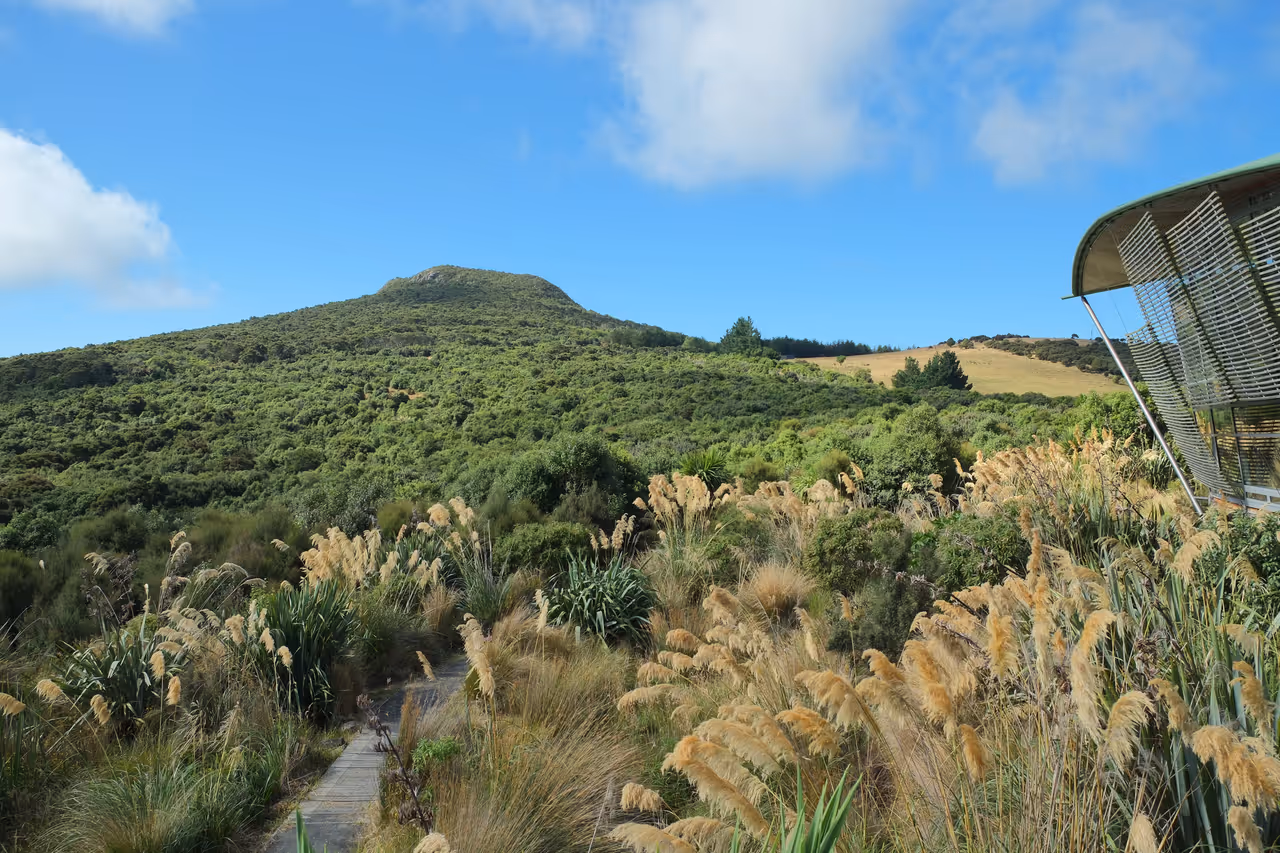 Orokonui ecosanctuary in Dunedin