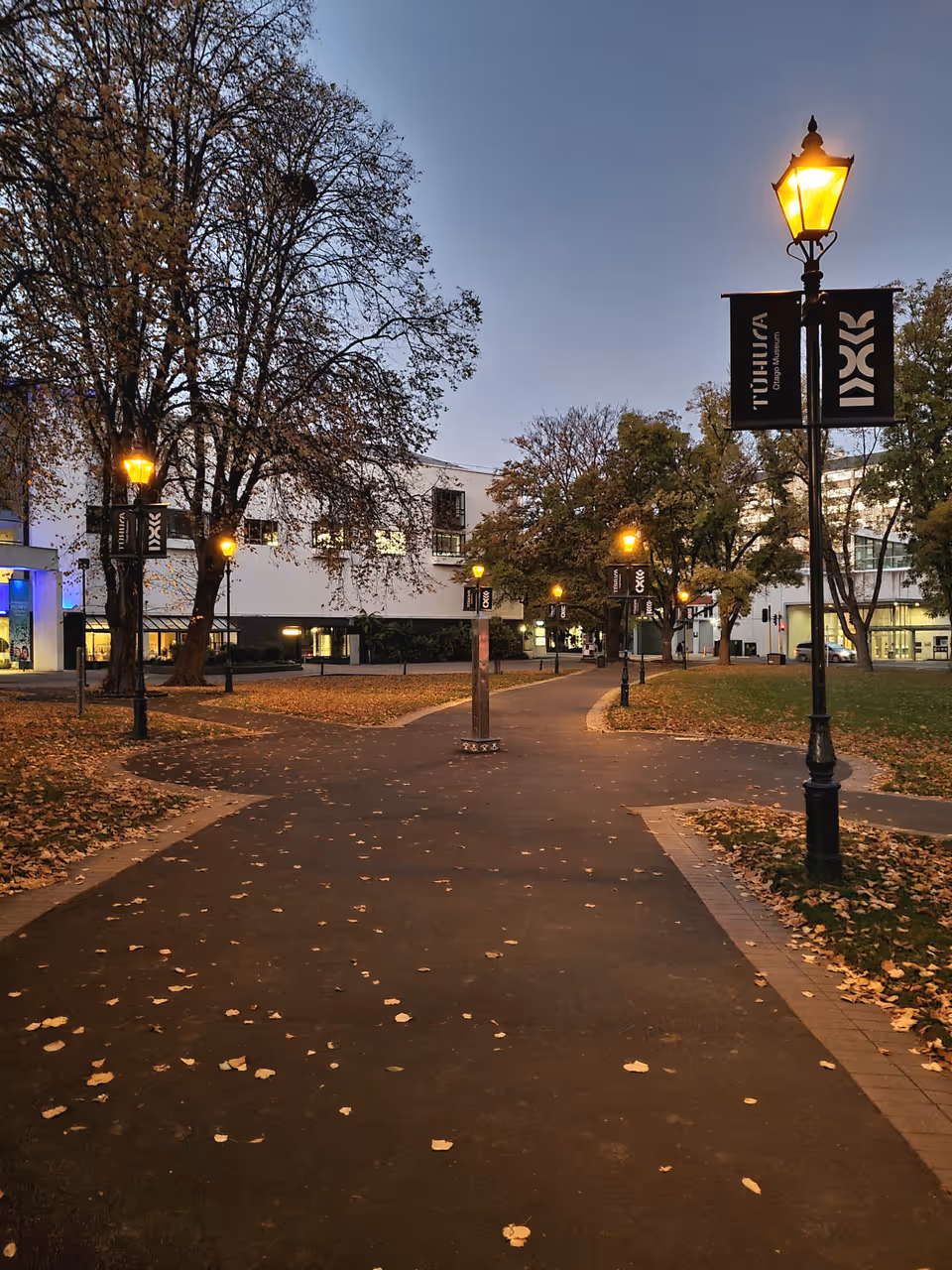 Dusk at the reserve outside Otago Museum