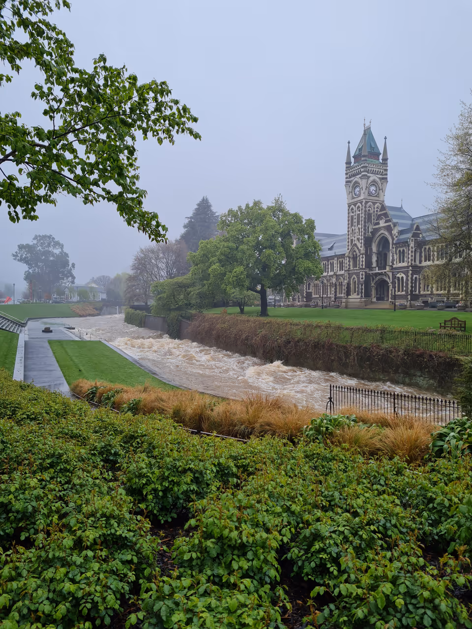 University of otago in Dunedin
