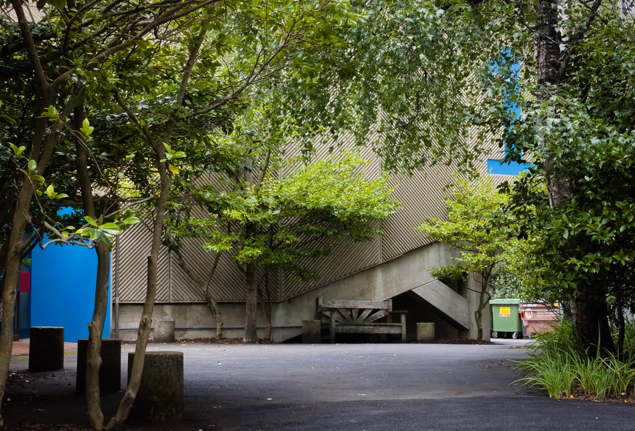 University of otago in Dunedin