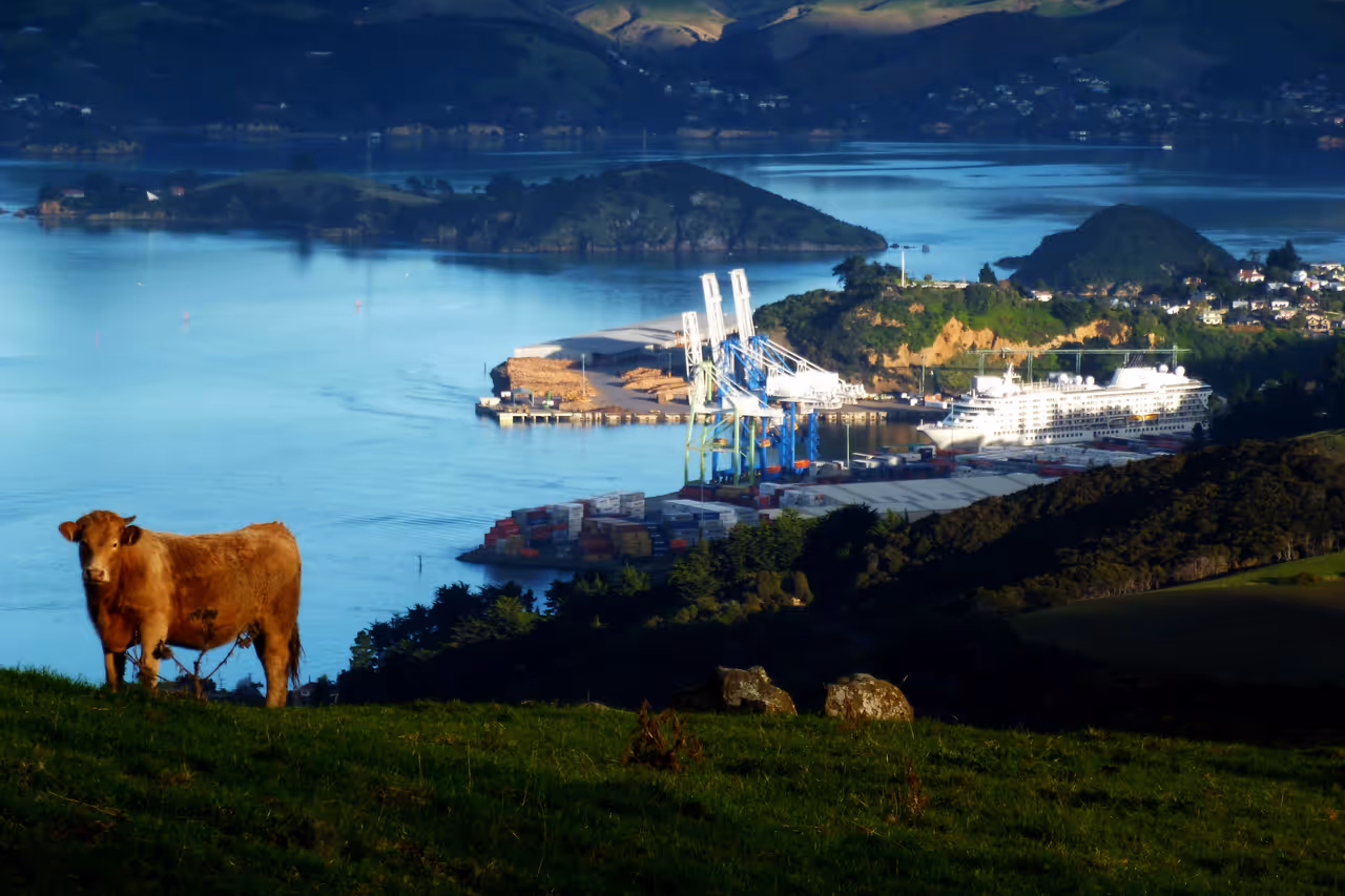 Port chalmers nightlife spot in Dunedin