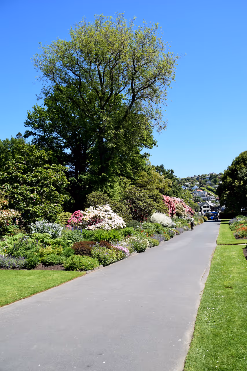 Botanic garden in Dunedin