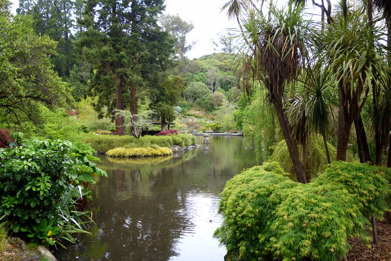 Botanic garden in Dunedin