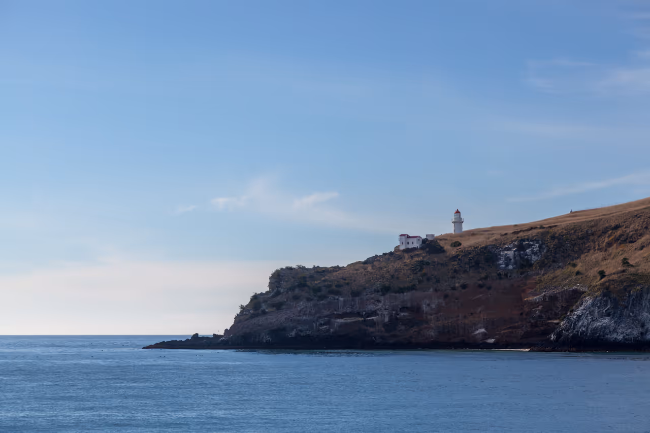 Taiaroa head lighthouse in Dunedin