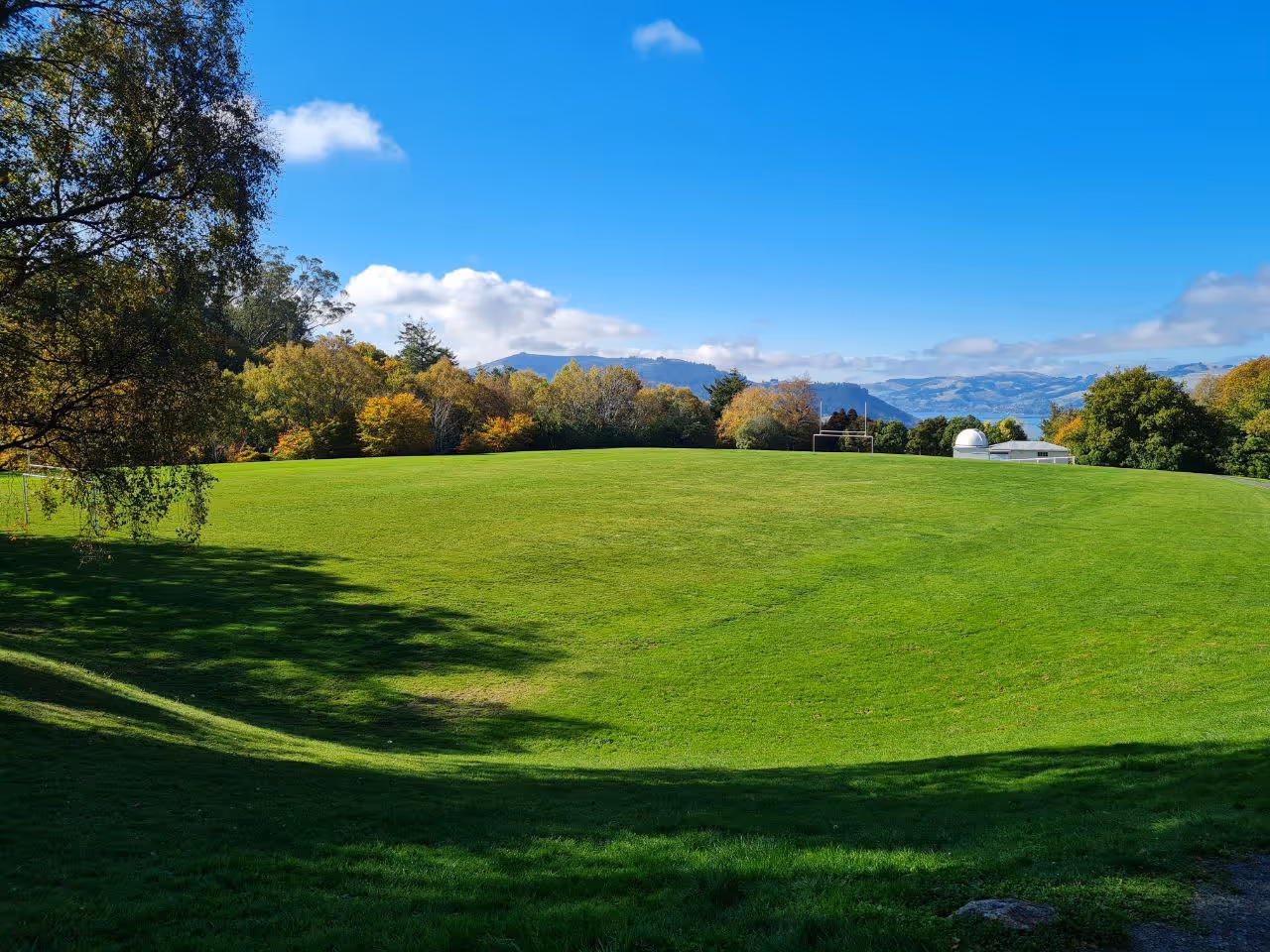 Autumn highlight in Dunedin