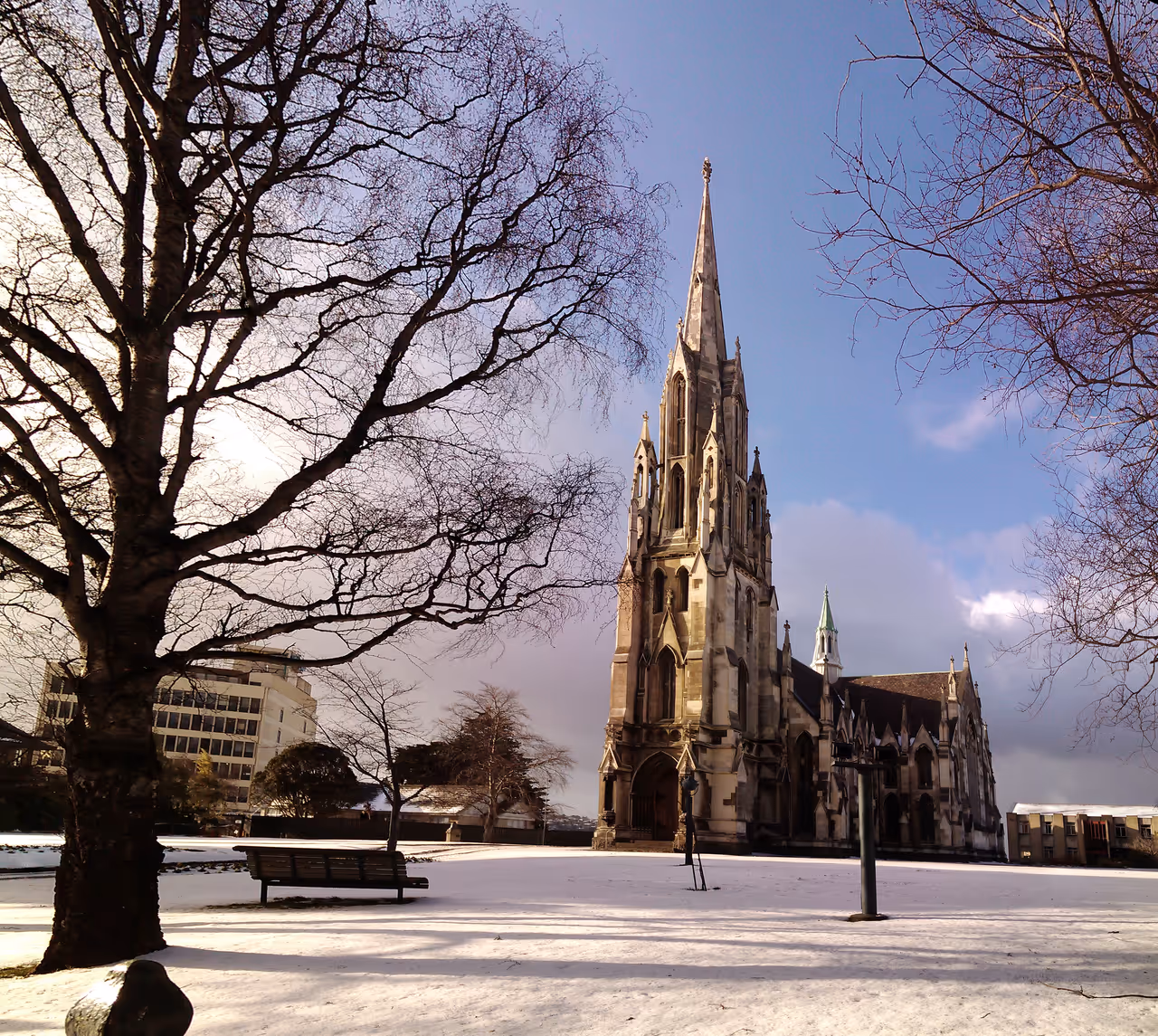 Winter highlight in Dunedin
