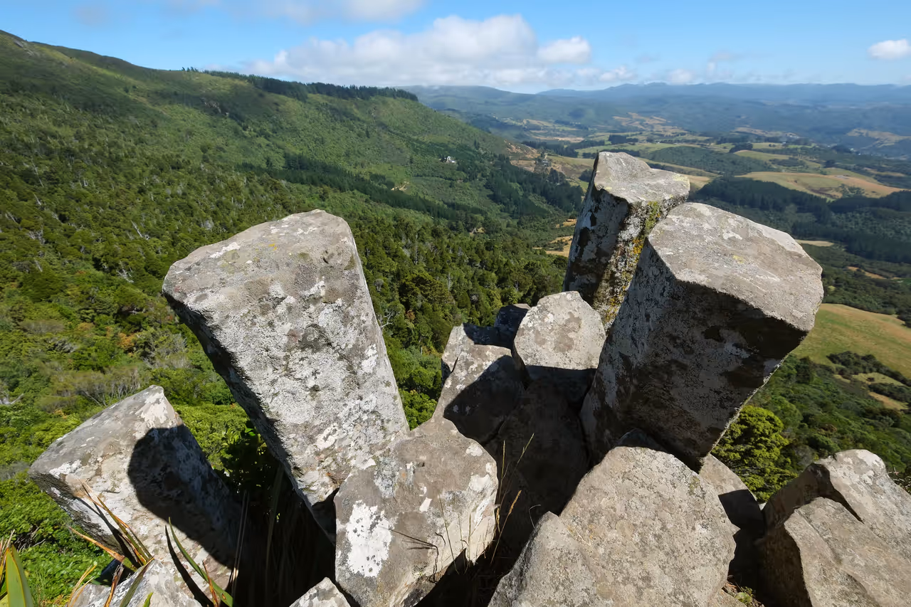 Mount cargill summit in Dunedin