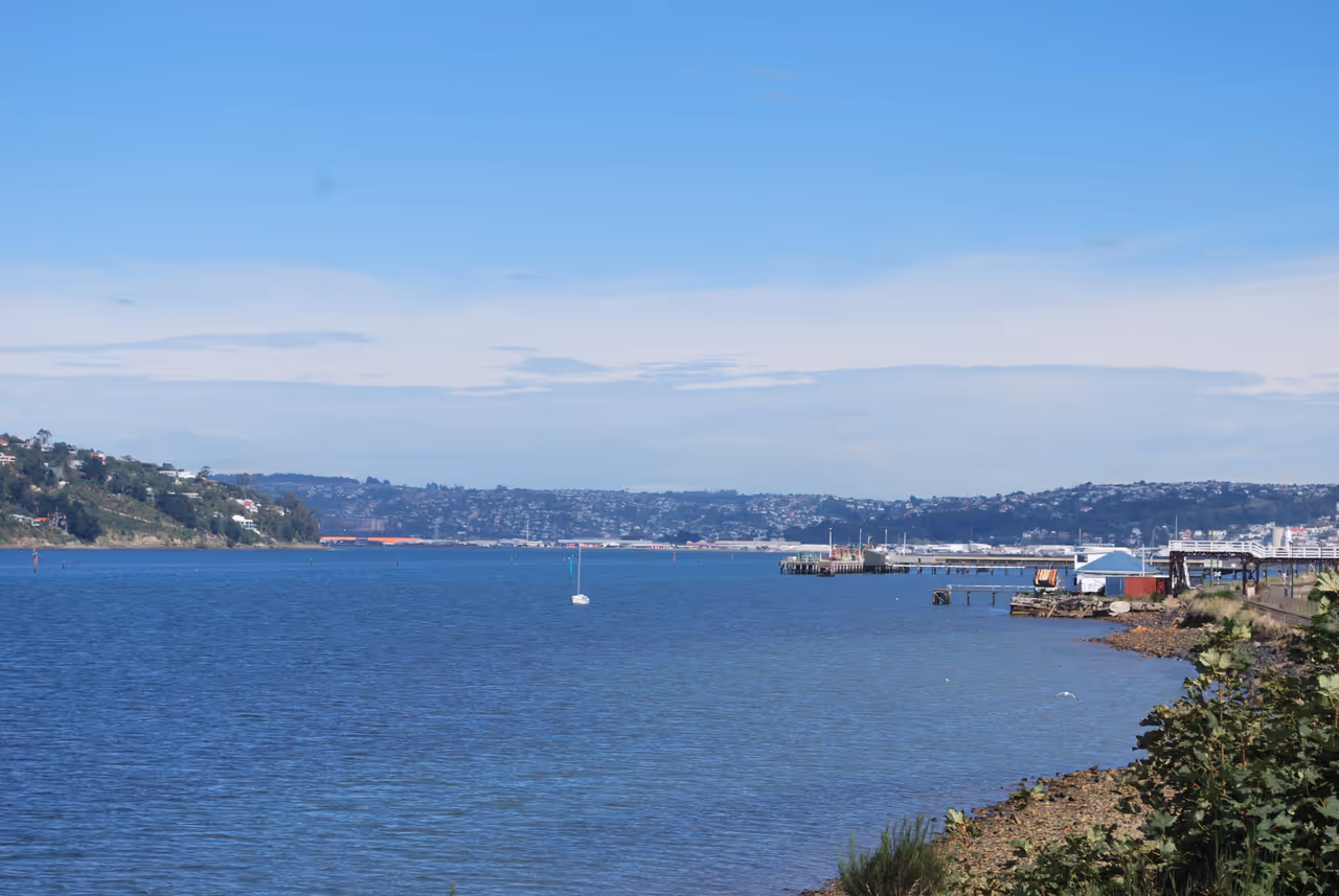 Ravensbourne lookout in Dunedin