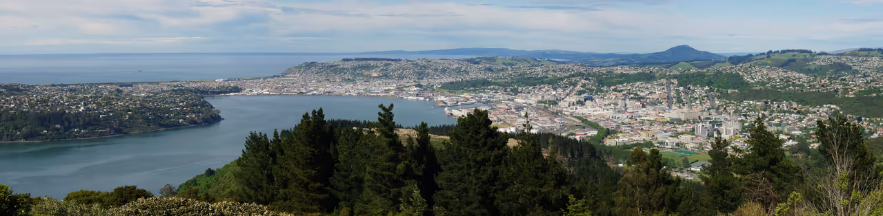 Signal hill lookout in Dunedin