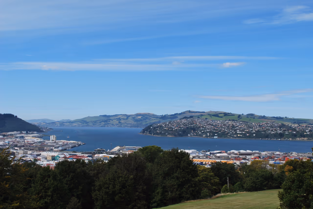 Unity park lookout in Dunedin