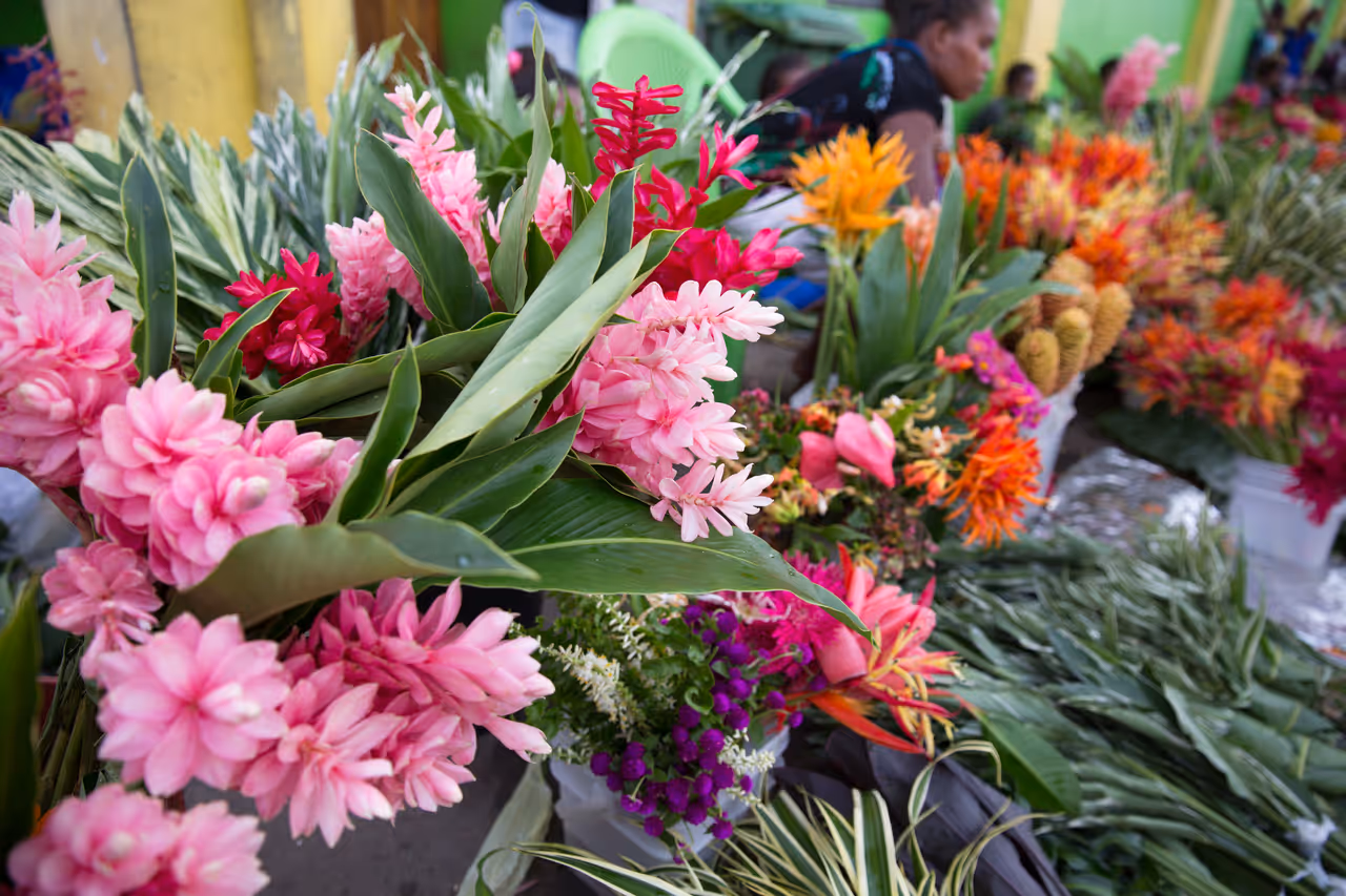 Spring highlight in Honiara