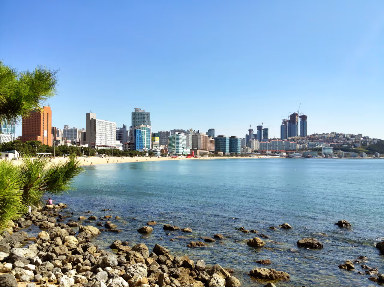Sail the city bay in Busan
