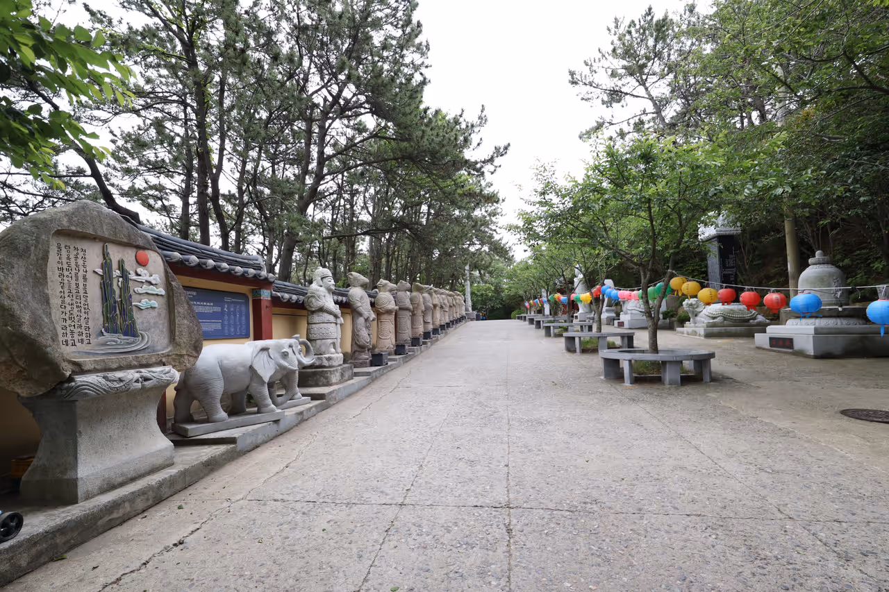 Ocean dragon temple in Busan
