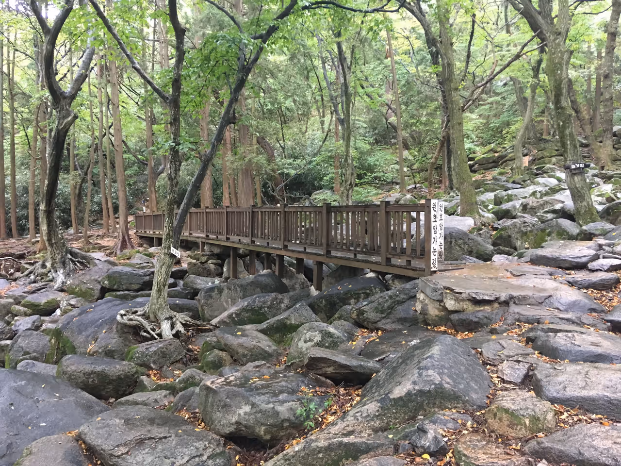 Serene beomeosa temple in Busan