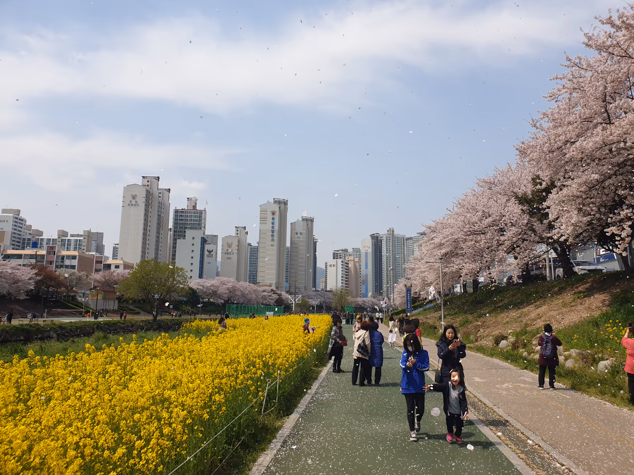 Urban stream path cycling in Busan
