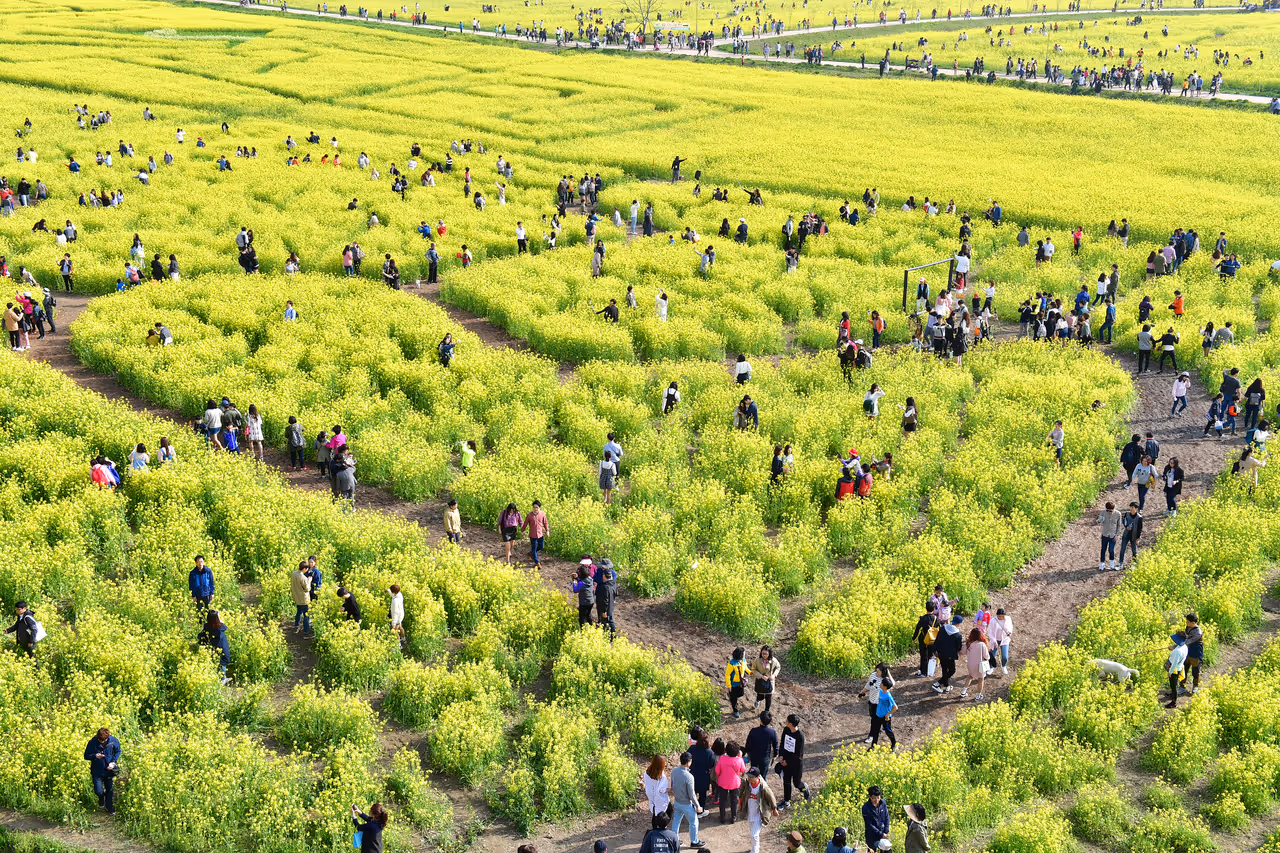 Daejeo ecological park in Busan