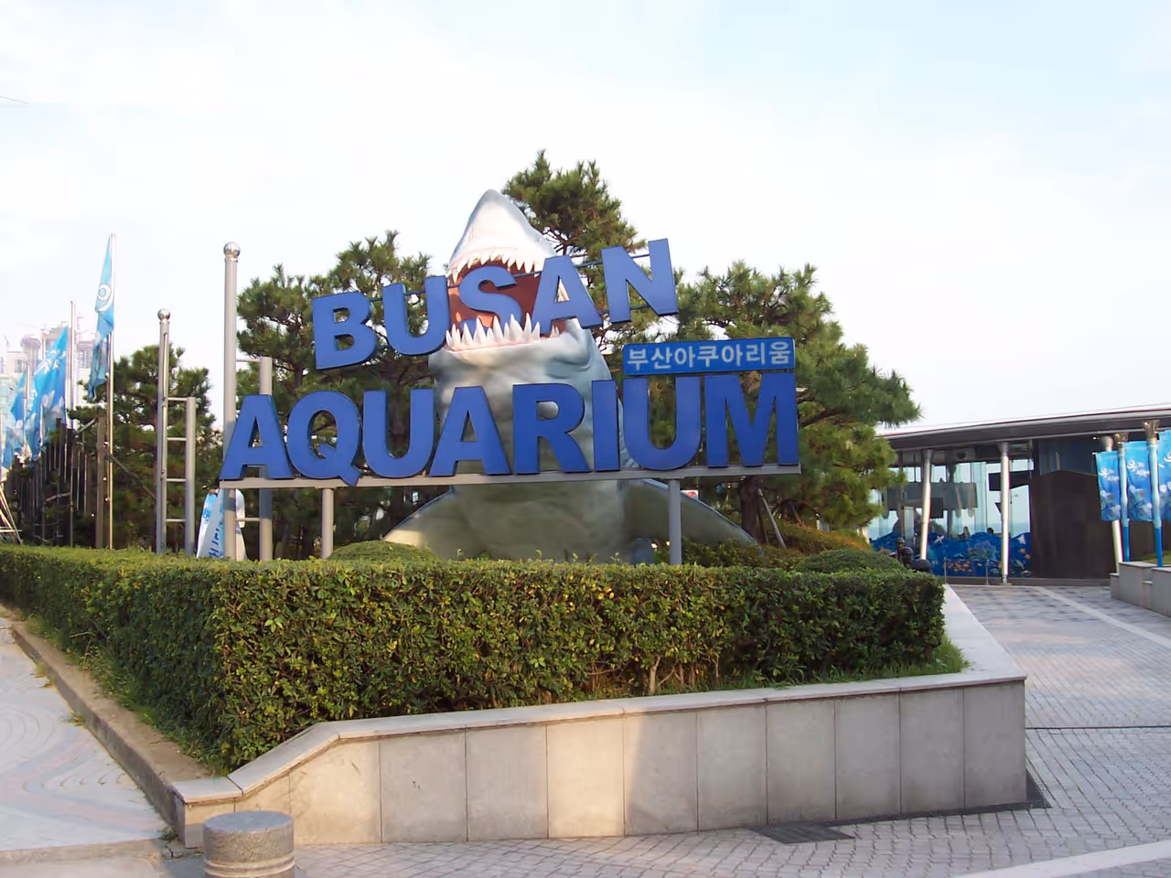 Sea life aquarium in Busan