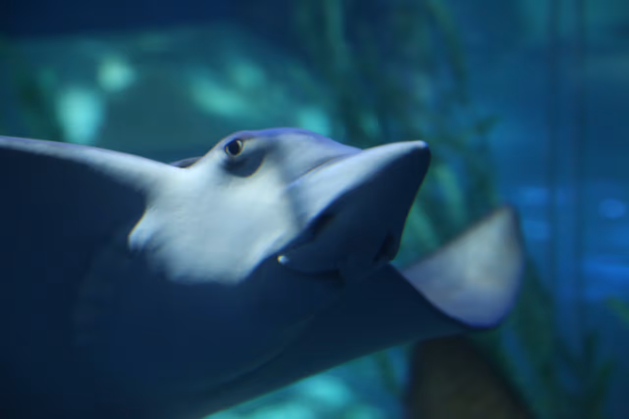 Sea life aquarium in Busan