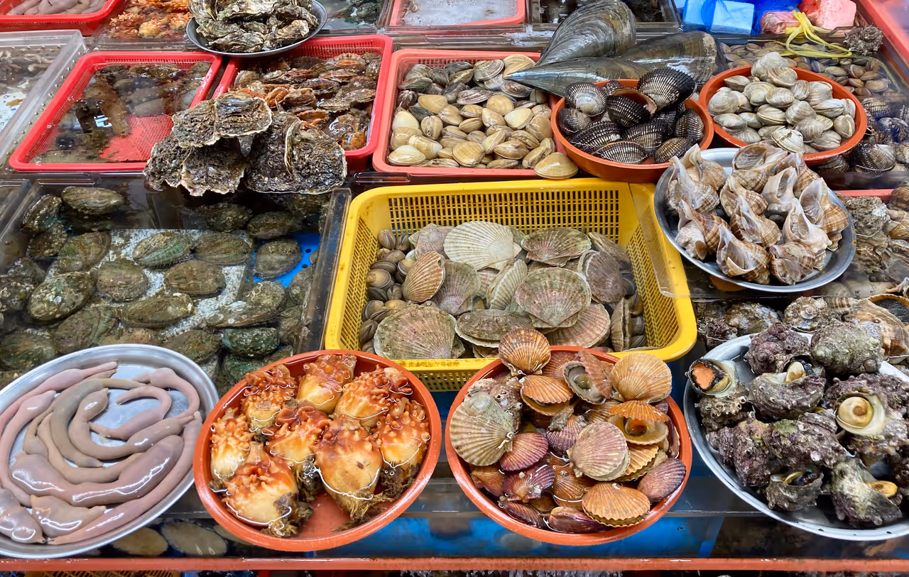 Jagalchi fish market market in Busan