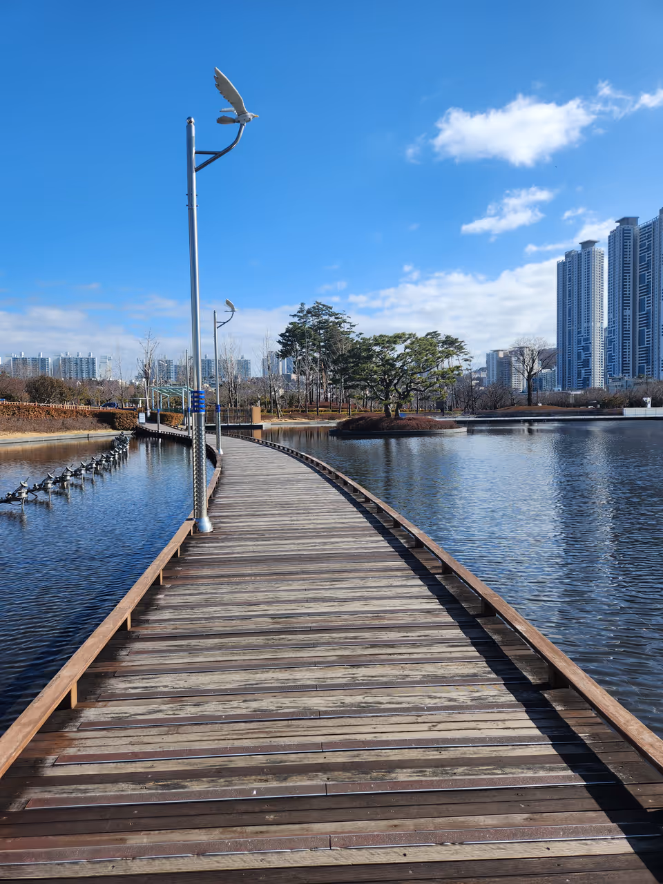 Citizens park in Busan