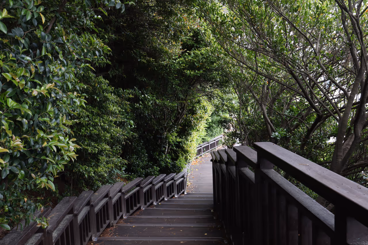 Dongbaek island in Busan