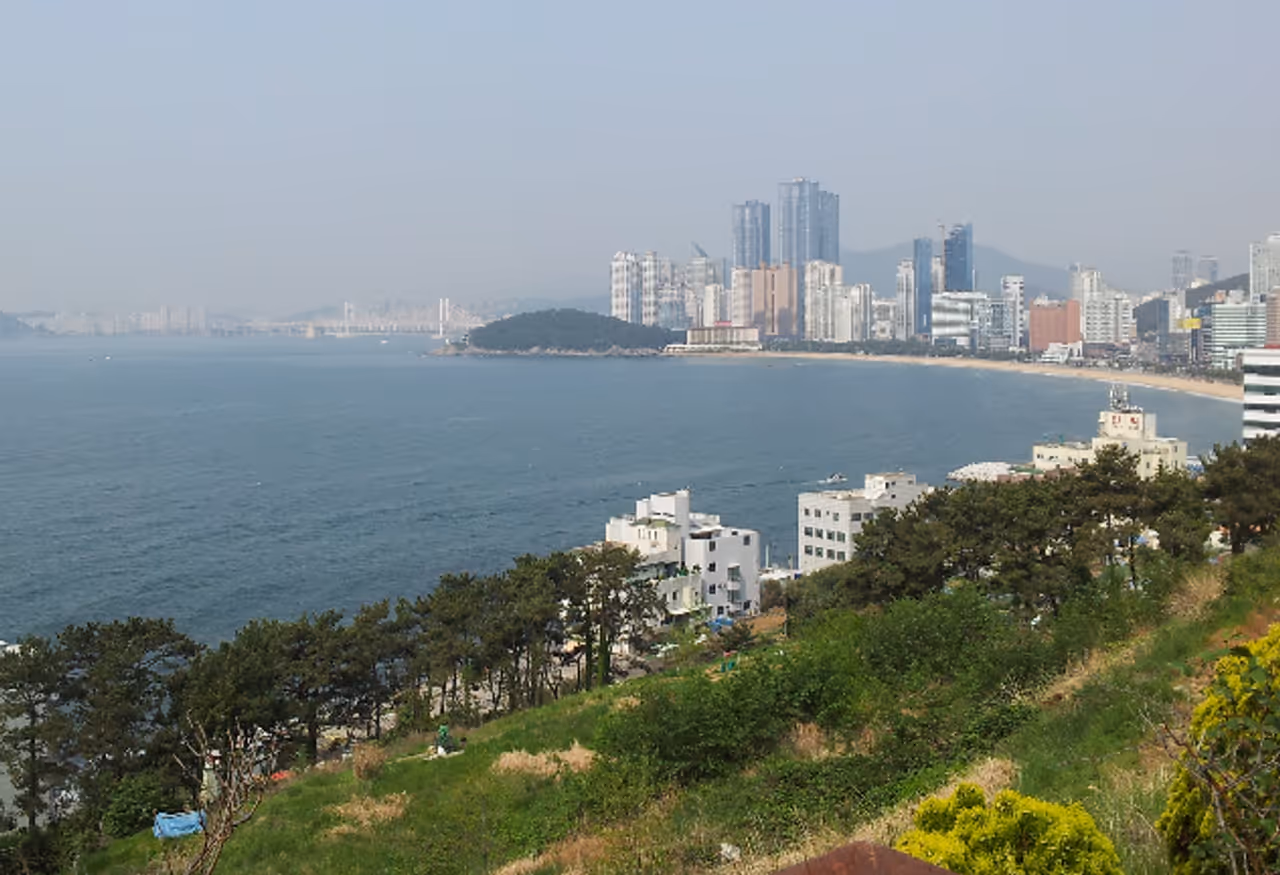 Moonlit forest path stroll in Busan