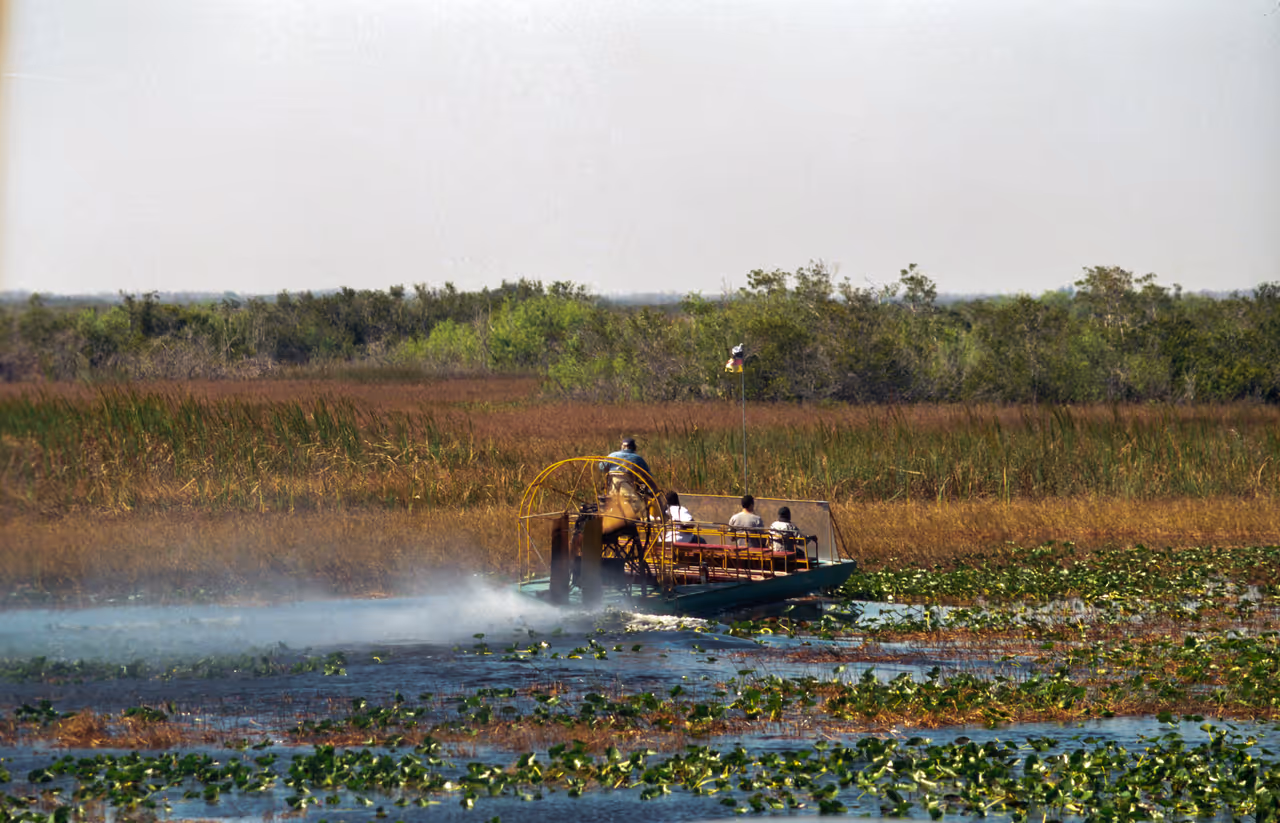 Airboat tour with tourists navigating through the marsh and lily pads of Everglades National Park