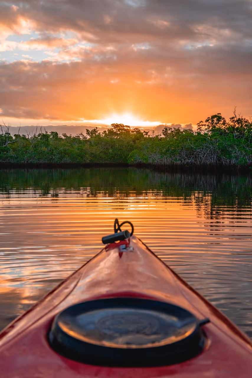 Kayak paddling through mangrove forests in Everglades National Park at sunset