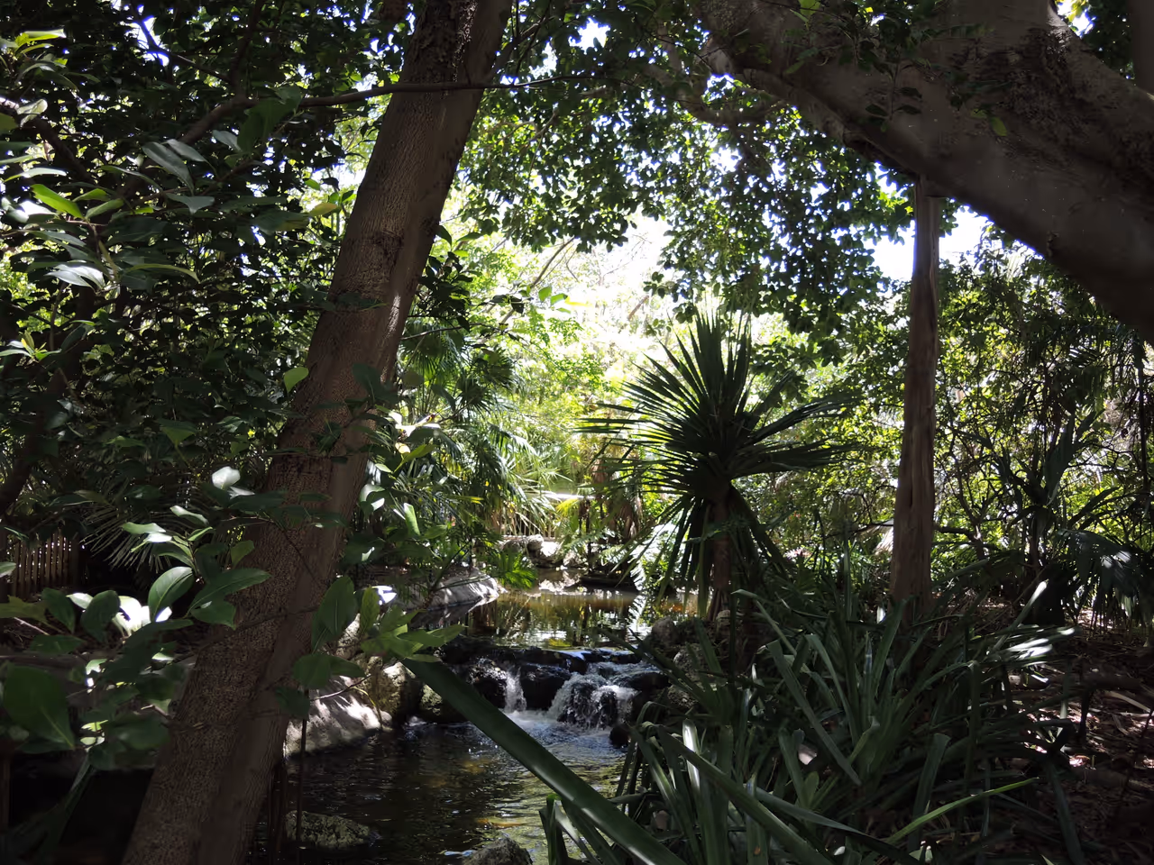 Jungle island, Miami