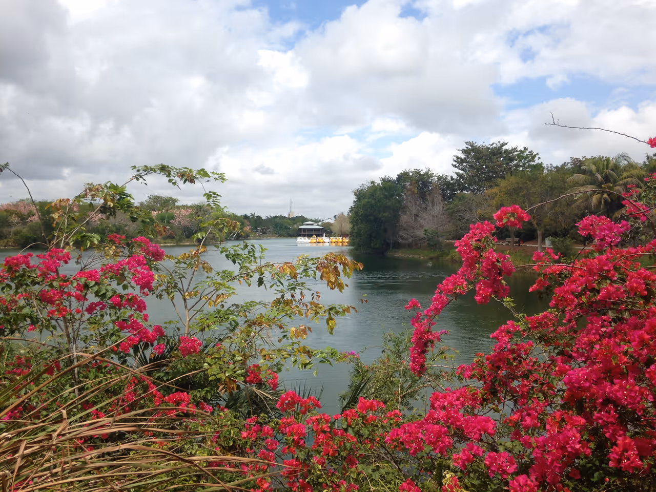 Zoo, Miami