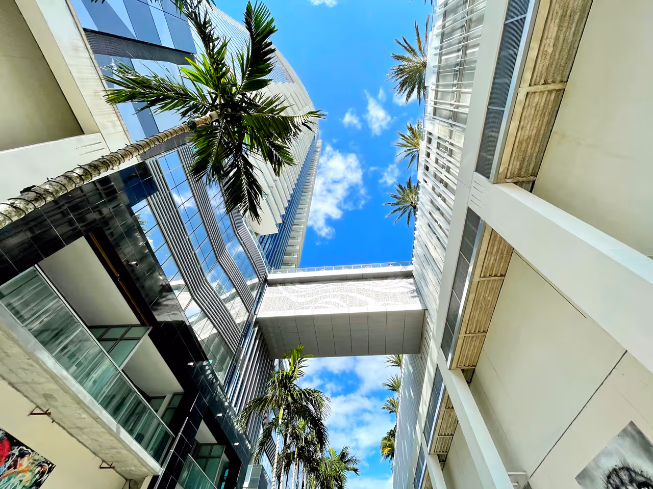 Low-angle view of modern skyscrapers and palm trees under a blue sky near Bayside and Freedom Tower in Miami, Florida
