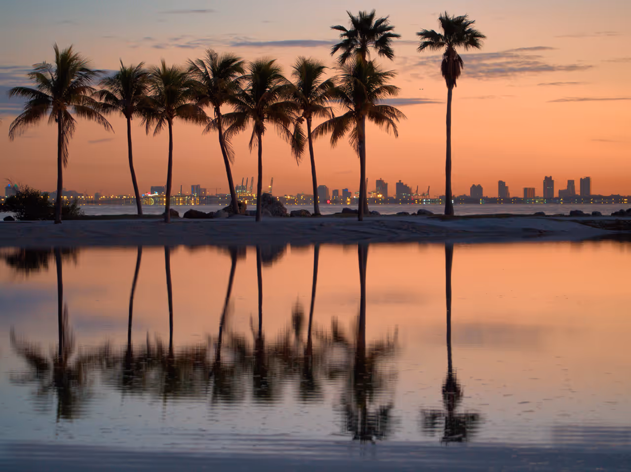 Silhouette of palm trees at sunset reflected in calm water with the Miami skyline in the background