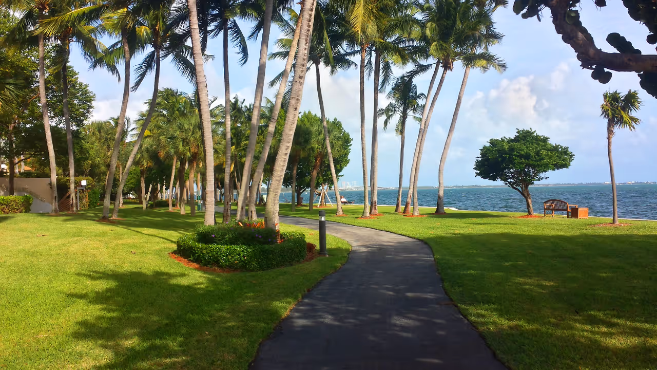Paved walking path winding through a grassy park lined with palm trees alongside Biscayne Bay in Miami