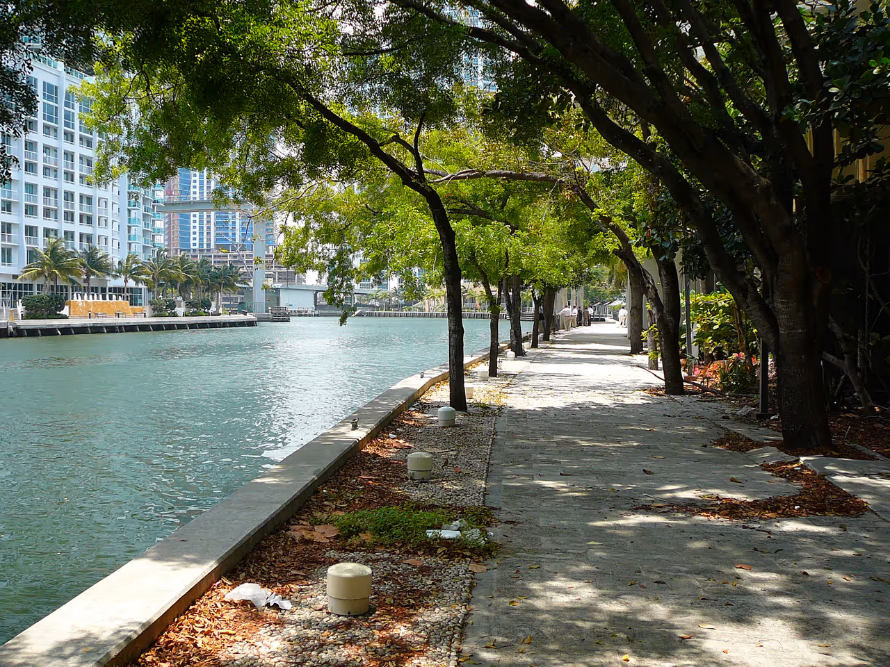 Scenic pedestrian path lined with lush green trees along the waterfront of the Miami Riverwalk with high-rise buildings in the background