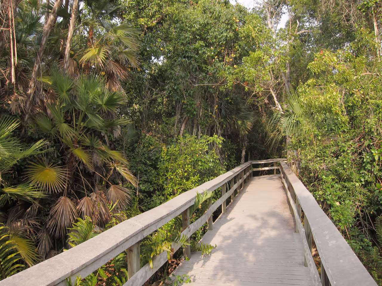 Shark valley everglades loop cycling, Miami