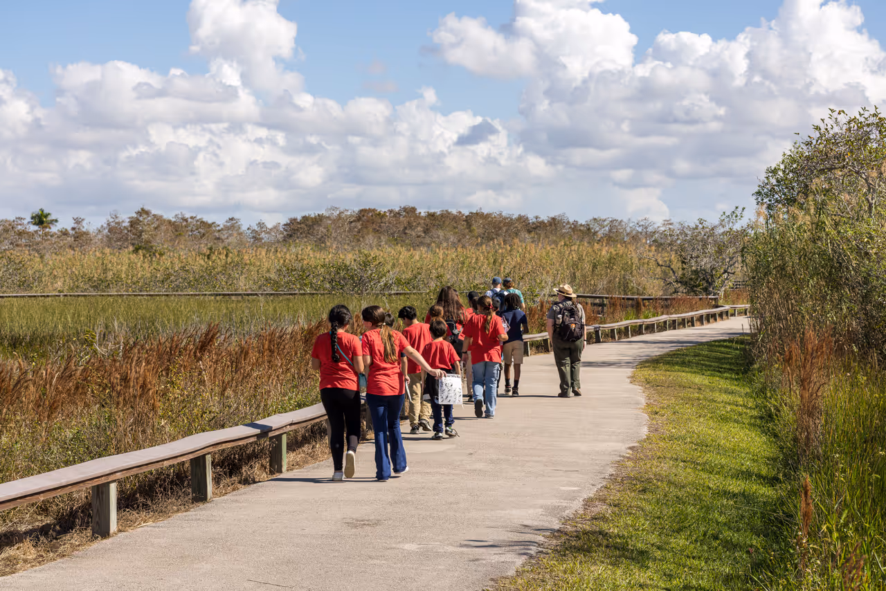 Shark valley everglades loop cycling, Miami