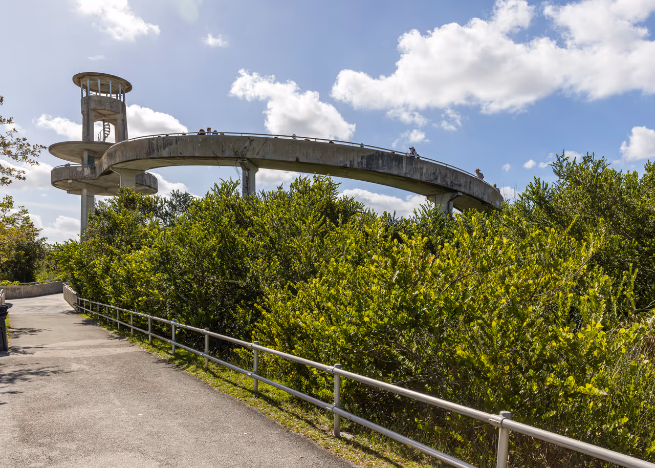 Shark valley everglades loop cycling, Miami
