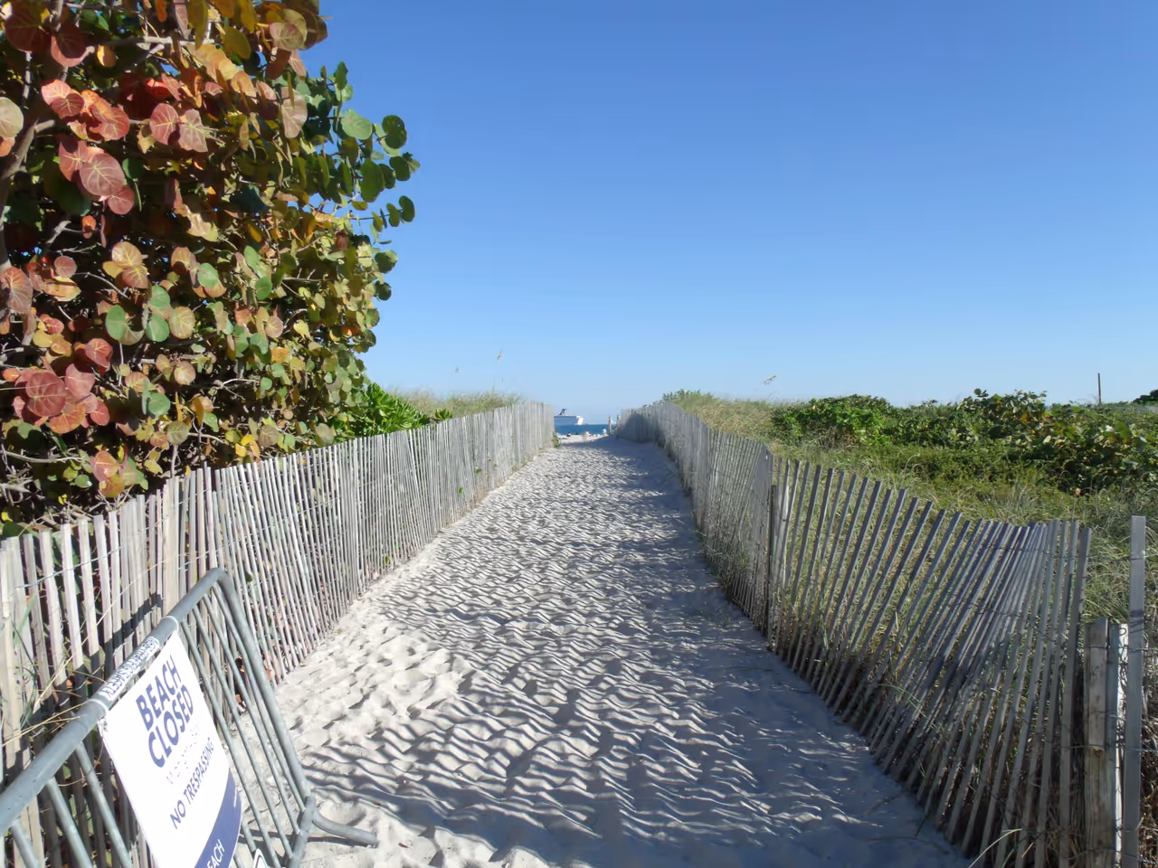 Sandy beach entrance flanked by wooden dune fencing and green foliage under a clear blue sky on Ocean Drive, South Beach, Miami, Florida