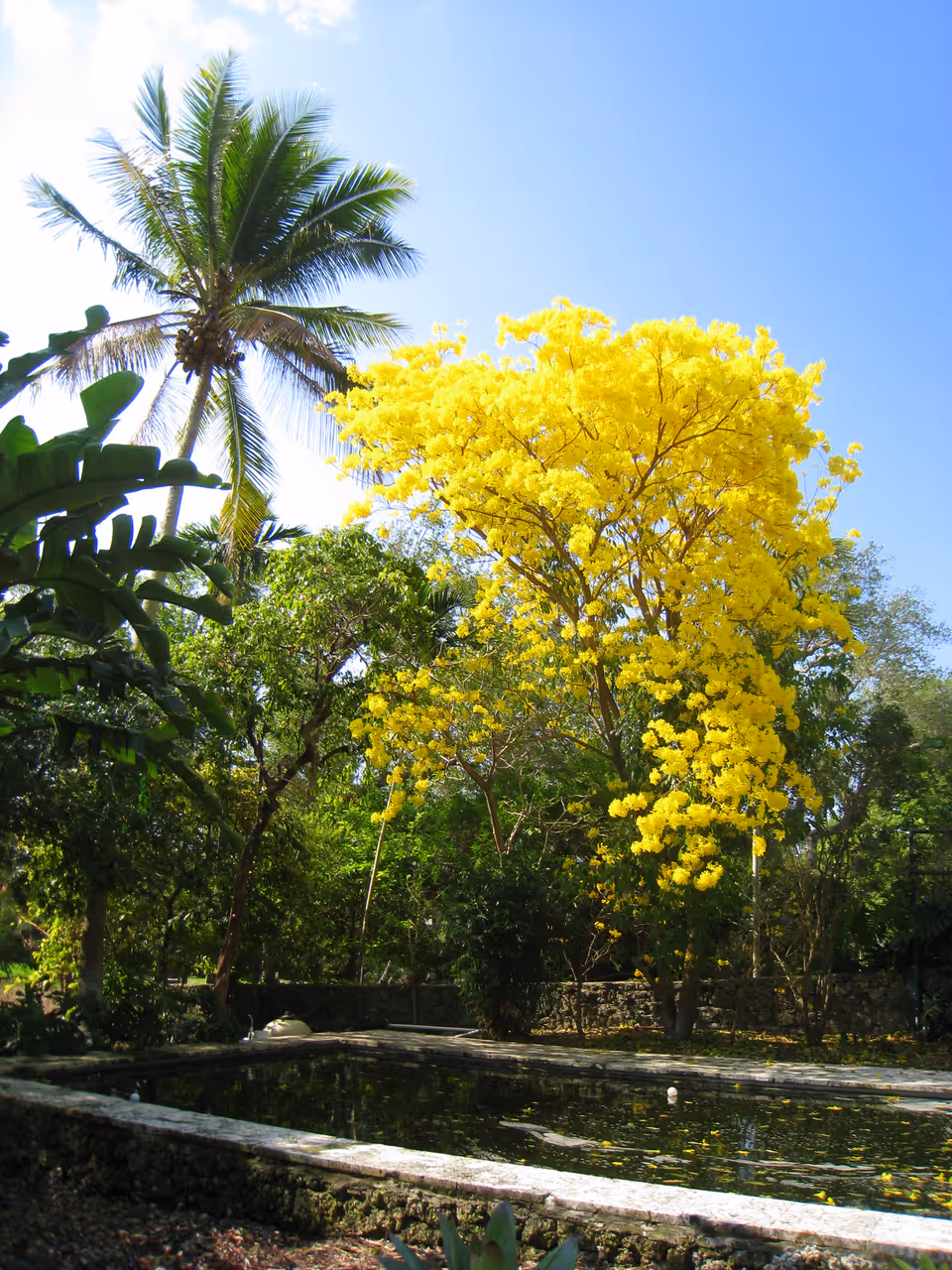 Kampong, Miami