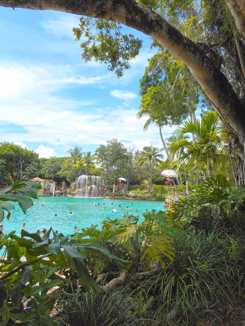 Swimming at the venetian pool, Miami