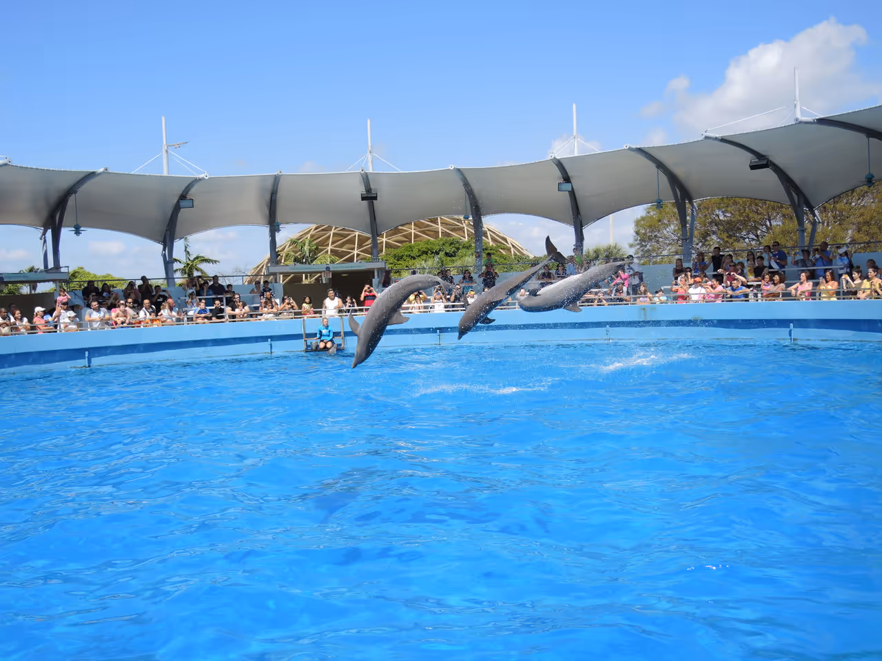 Visiting the  seaquarium, Miami
