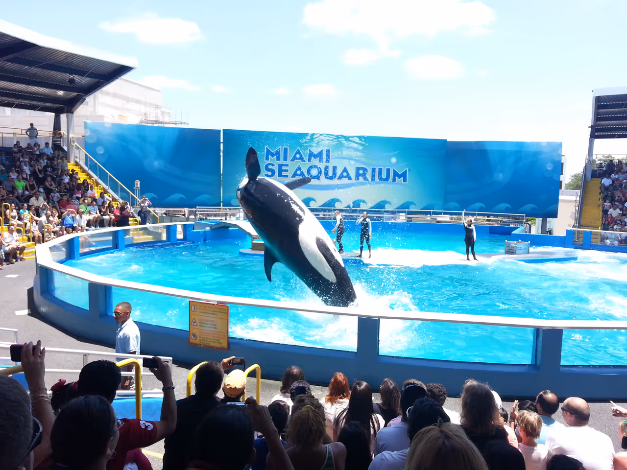 Visiting the  seaquarium, Miami