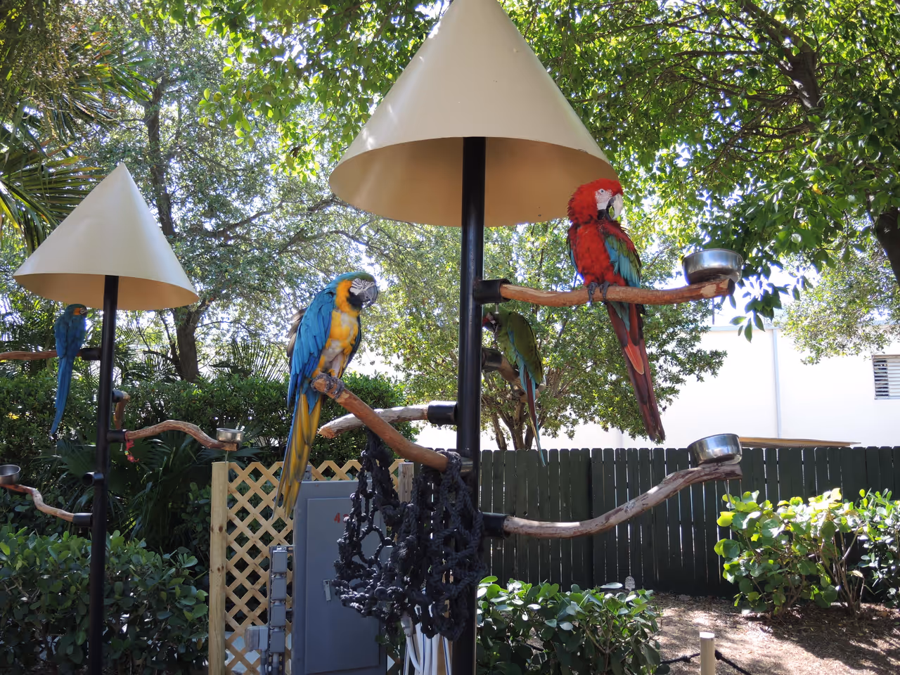 Visiting the  seaquarium, Miami