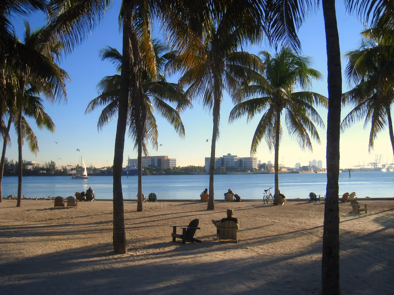 Sunny sandy beach with palm trees and wooden lounge chairs looking out at the bay in Bayfront Park, Miami, Florida