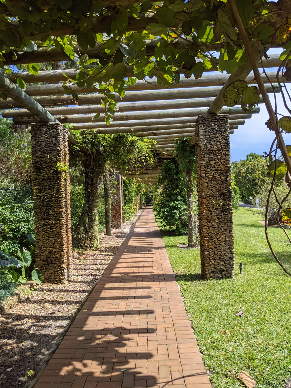 Fairchild tropical botanic garden, Miami