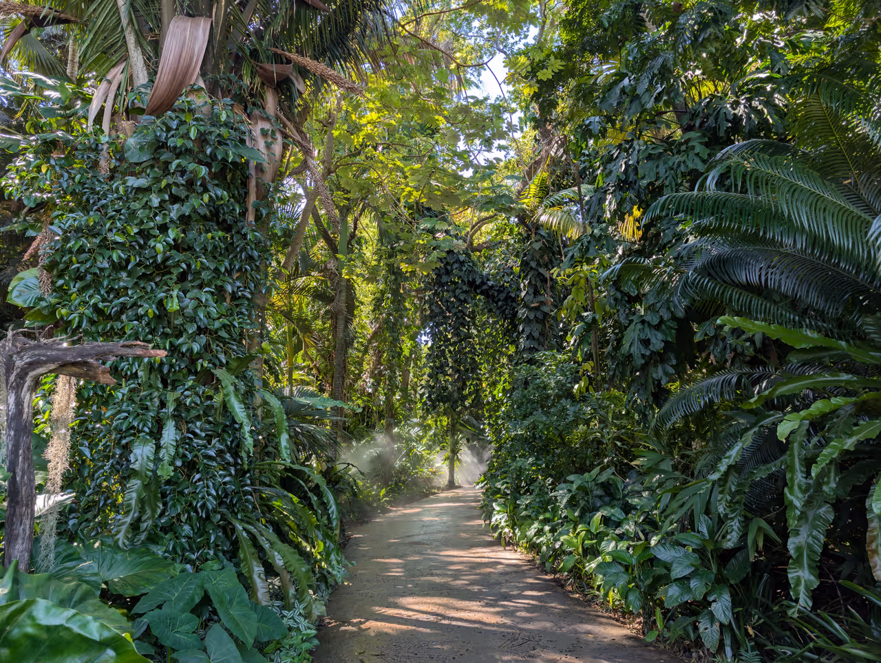Fairchild tropical botanic garden, Miami