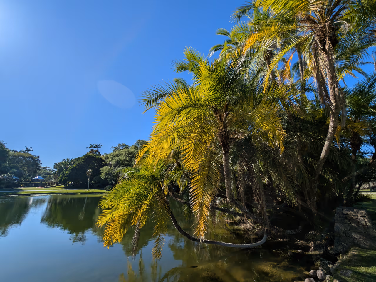 Fairchild tropical botanic garden, Miami