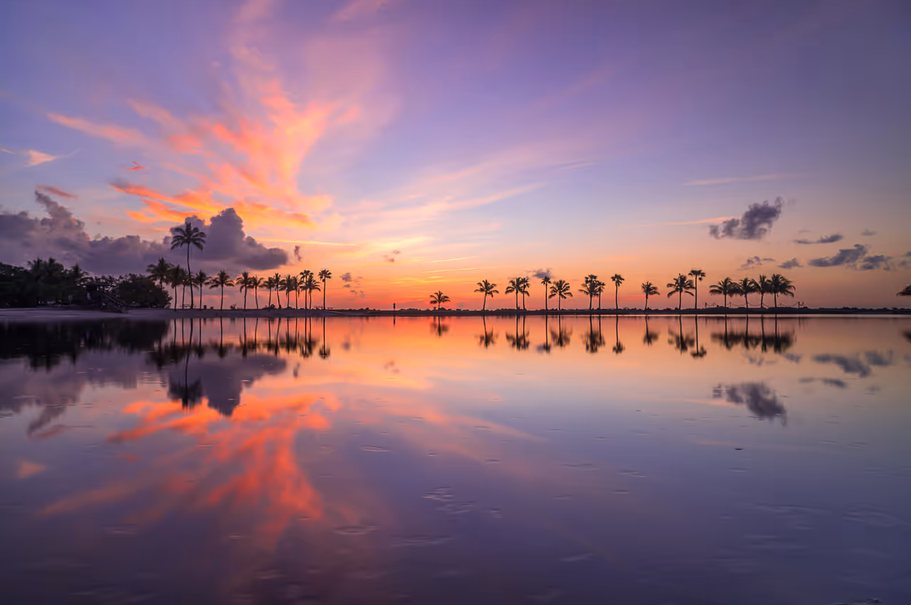 Sunrise over the atoll pool at Matheson Hammock Park in Miami with palm trees reflecting in the calm water at dawn