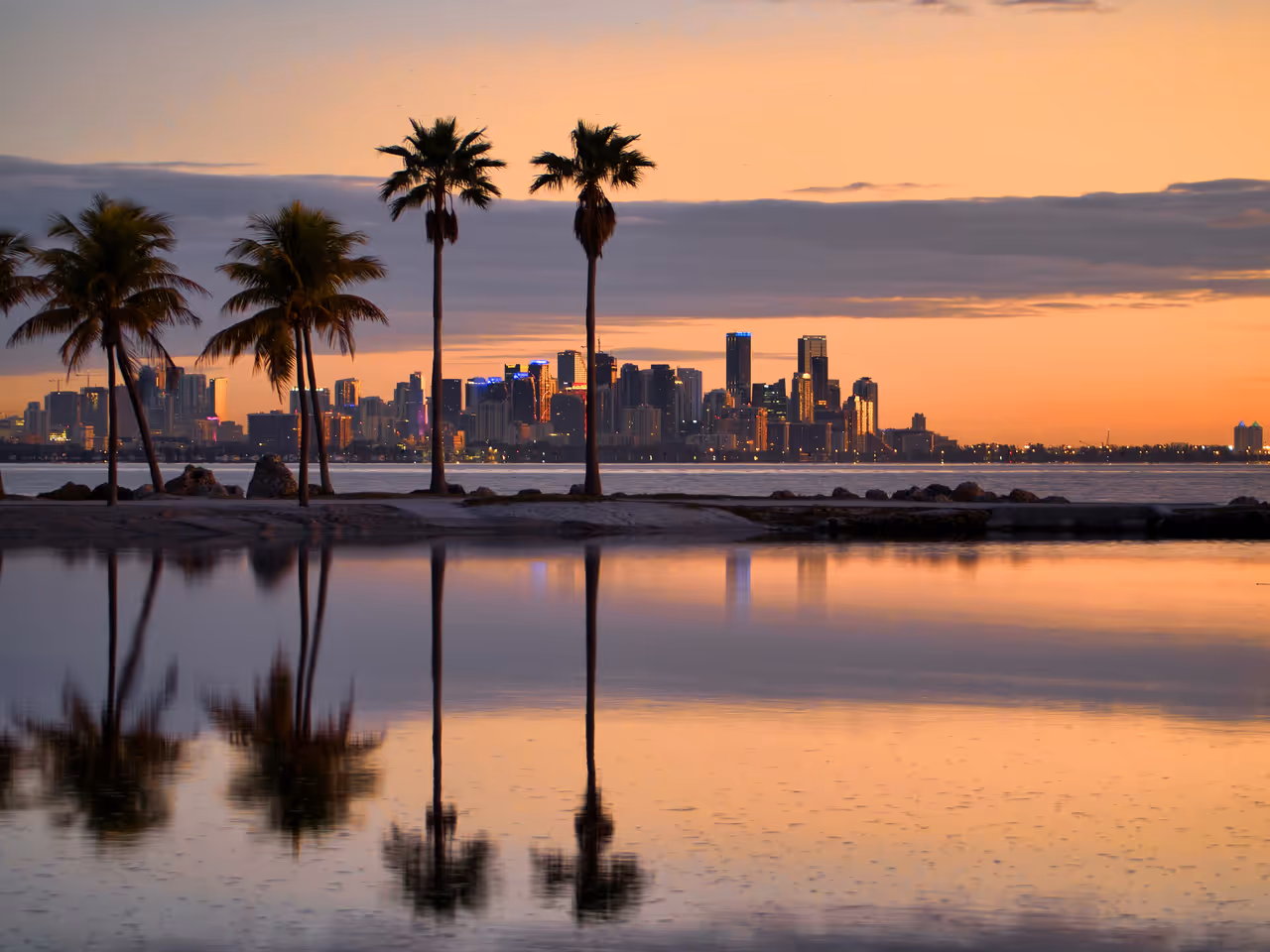 Miami skyline at sunrise with palm trees reflecting in the water at Matheson Hammock Park